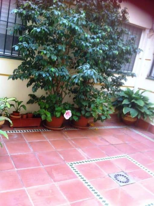 Apartamento Paola El Puerto de Santa María Buitenkant foto